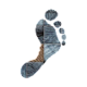 d4ni3llo