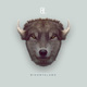 bisonte | lobo