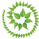 El Bosque Natura – Laura Cruz Reyes
