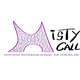 Mistycalle, organización del festival