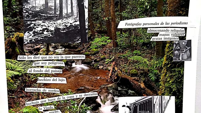 Personalized composition of a poem together with a collage.