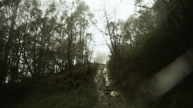 Seguint el rastre