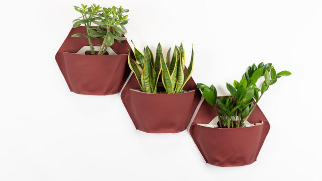 Pack de 3 macetas de pared con plantas resistentes