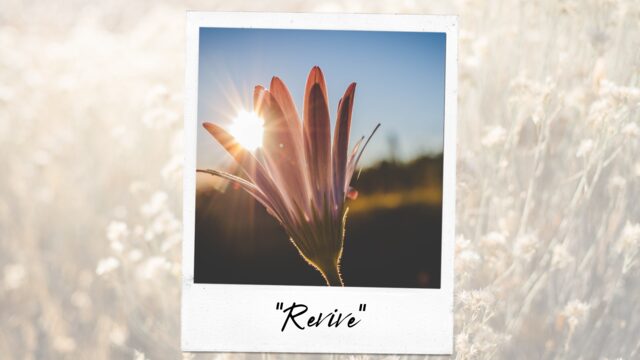 Revive  - All is not lost...