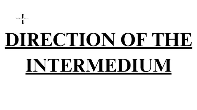 Direction of the Intermedium (for companies)