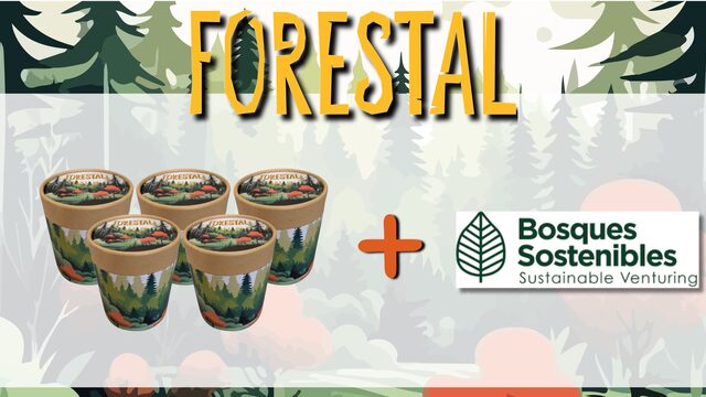 5 Forestal Board game and a percentatge to Sustainable Venturing company
