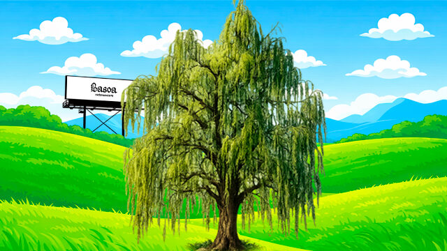 1000€ ¡Planta un SAUCE en nuestro bosque!