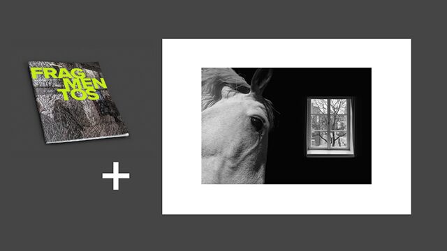 PACK 2 · Fotozine + A3 photo composite 'Window Into the Soul'