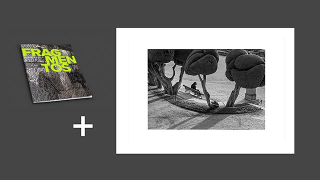 PACK 4 · Fotozine + A3 photo 'El Retiro'