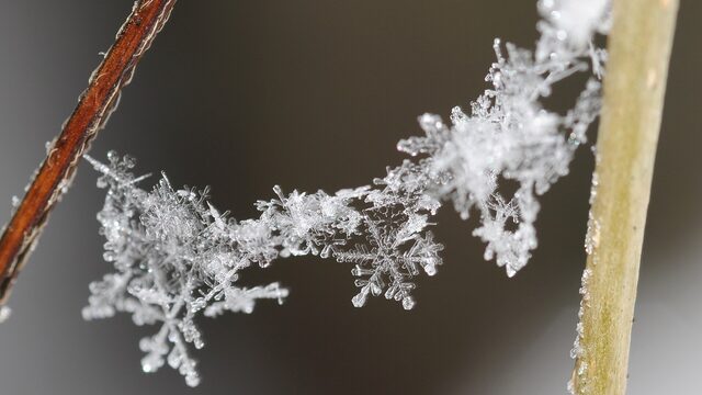 Copo de nieve