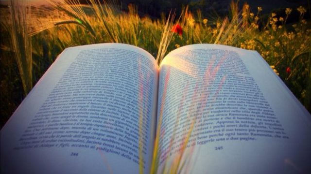 LIBRO EN FORMATO FÍSICO DEDICADO + CONSULTA NUTRICIONAL ONLINE