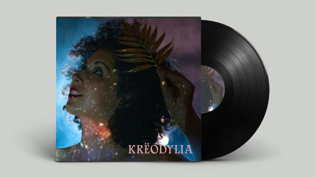 VINIL SIGNAT