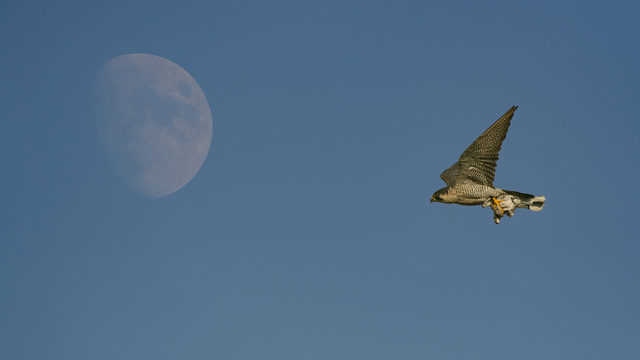 Fotografía 30 x 40 enmarcada