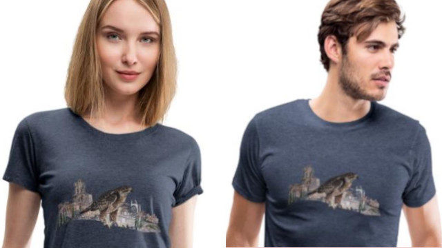 Samarreta Urban Raptors