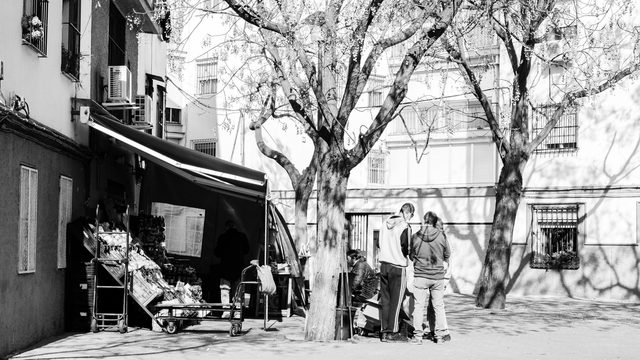 Fotografías digitales 