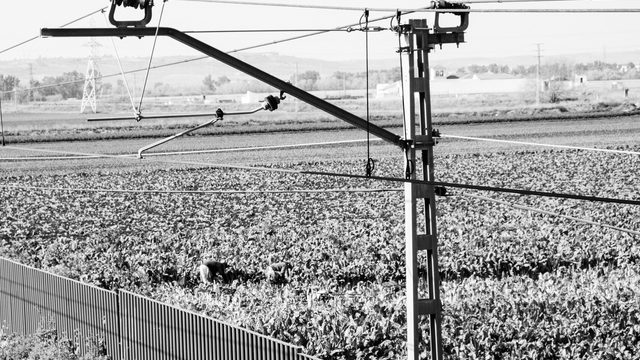 Fotografías en papel