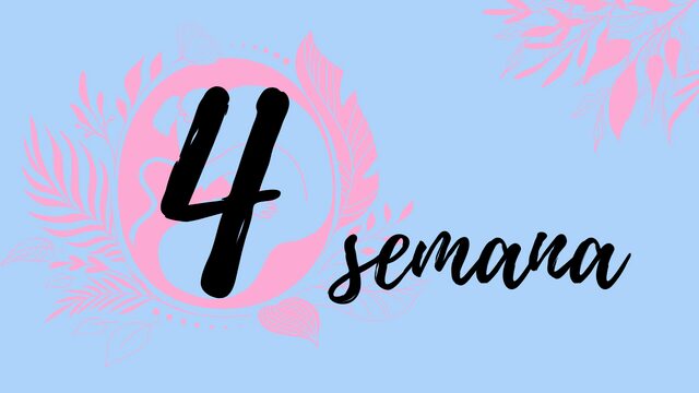 Semana 4