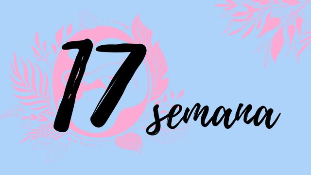 Semana 17