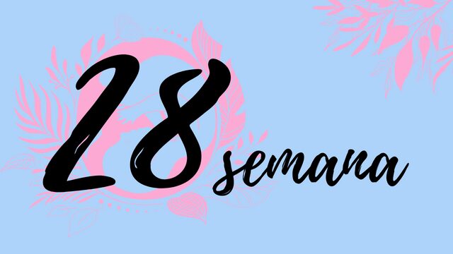 Semana 28