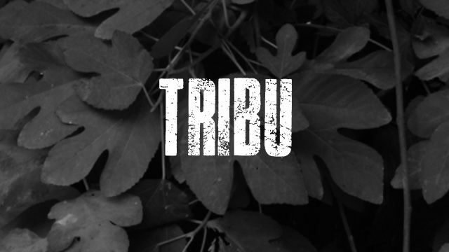 Recompensa Tribu