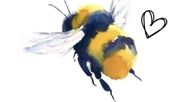 Me flipa el proyecto