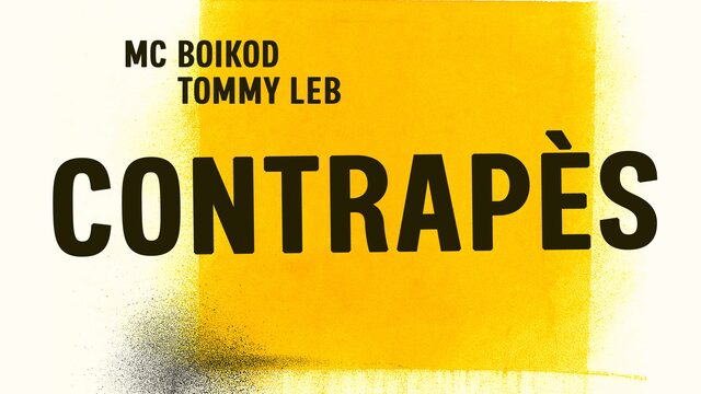 Disc de vinil