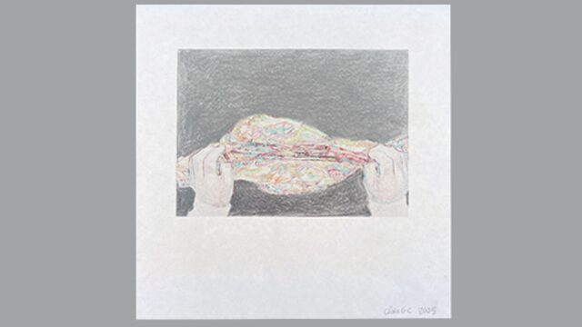 Plegant, 2005