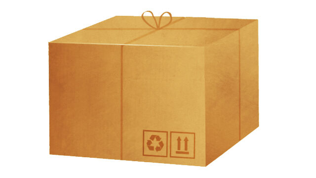Cubismo (preventa)