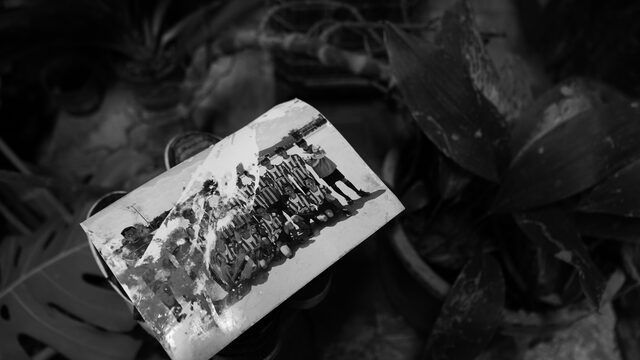 Fotografía del Documental Impresa + Acceso al documental.