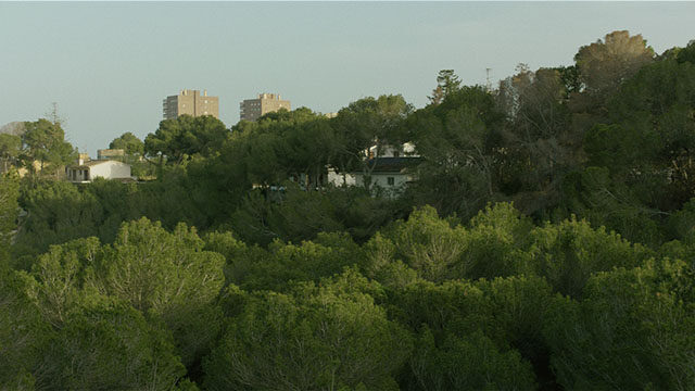 LA PINADA