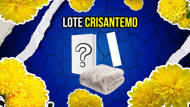Lote Crisantemo