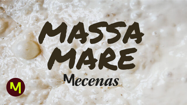 Mecenas del proyecto