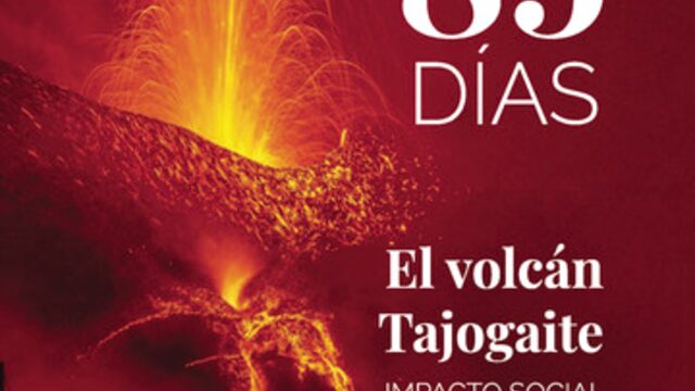 Libro 85 días de Dolors Vidal