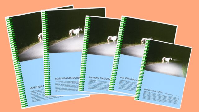 Pack Librería