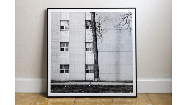 Obra fotográfica ¨The Lynks¨, Toronto