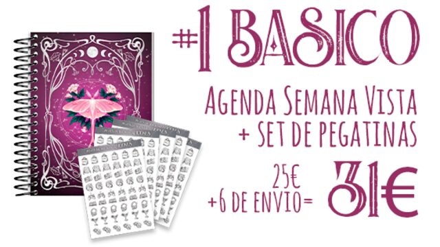 #1 Básico > Semana Vista