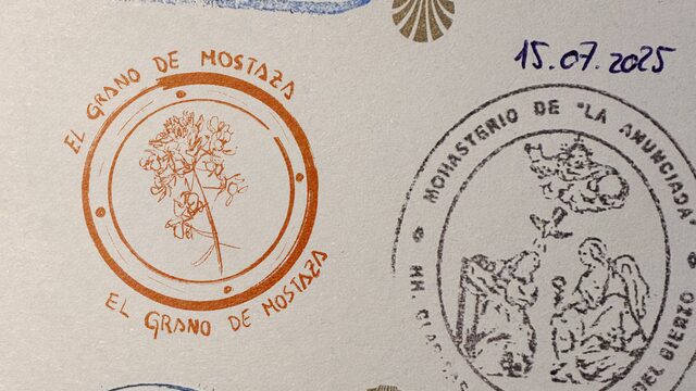 El Grano de Mostaza