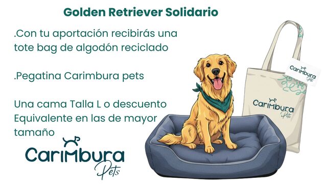 Golden Retriever Solidario