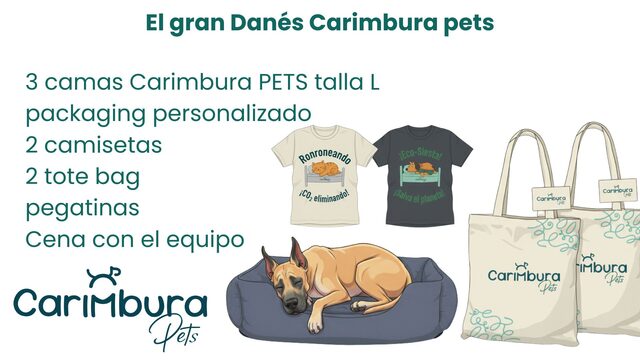 El gran Danés Carimbura pets