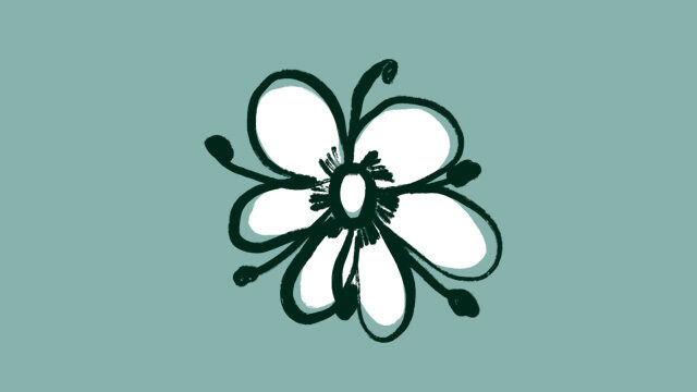 Flor de saüc (Hotel rural)