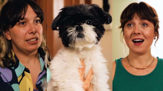 “Lola, Lolita, Lola” 🐶🐶