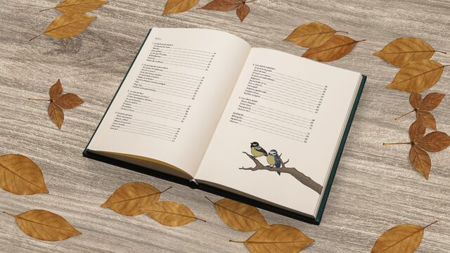 Llibre