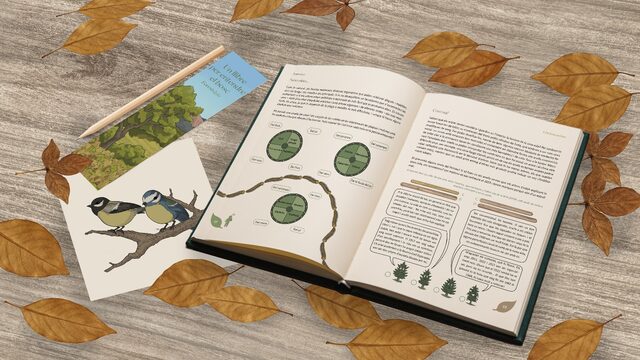 Llibre i detalls
