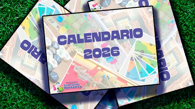 Gran paquete de cuatro calendarios