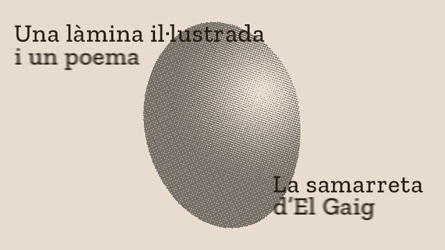 Una làmina i una samarreta