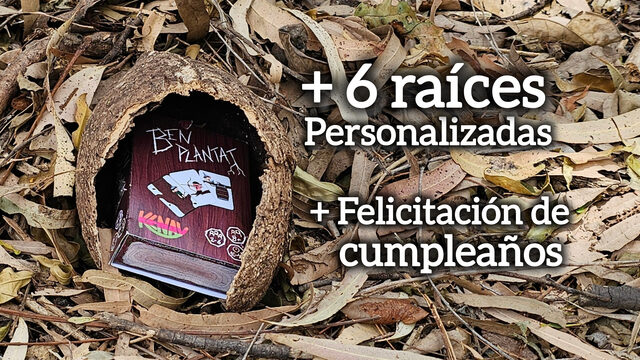 PACK CUMPLEAÑOS🎁