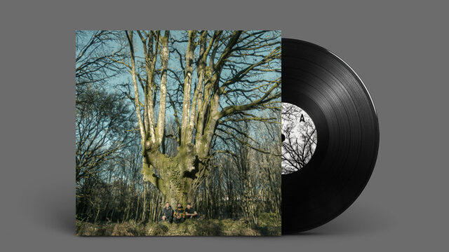 Disco Vinilo Roots & Shadows