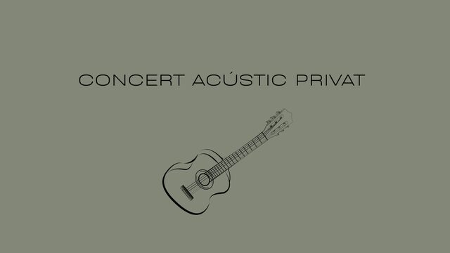Concierto privado de 1h.