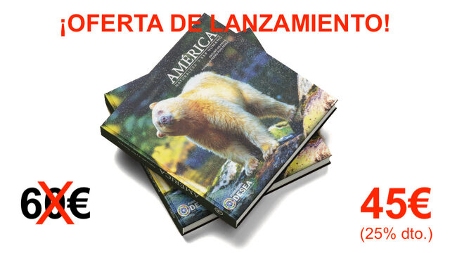 ¡OFERTA DE LANZAMIENTO: AMÉRICA POR 45€!