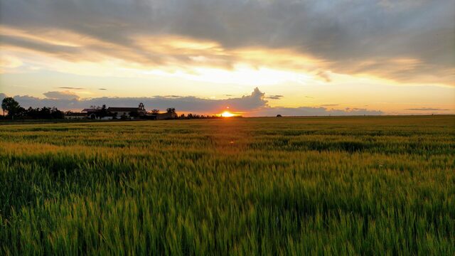 Fin de semana en La Sola + cesta ecológica 
